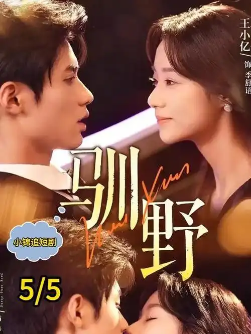 海雾之城全集手机免费在线观看